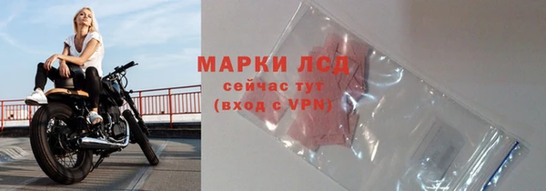 гидра Богородицк