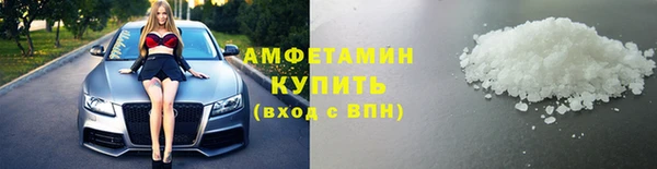 гидра Богородицк