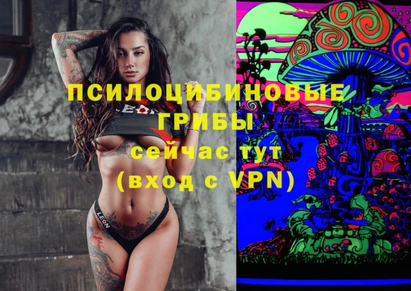 каннабис Богданович