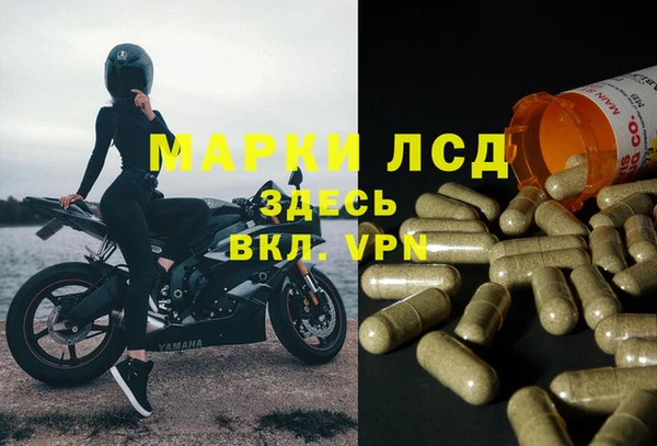 гидра Богородицк