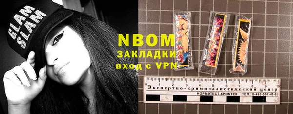 гидра Богородицк
