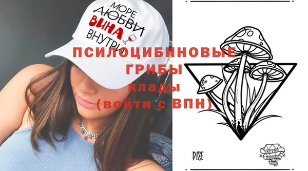 гидра Богородицк